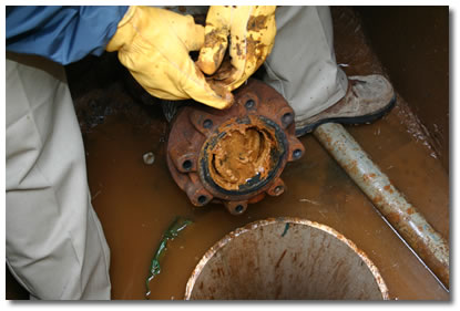 This picture shows a component of the well pump with susbstantial buildup of mineral and iron deposits